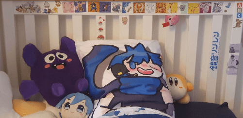 How Personalized Dakimakura Pillows Add Value to Fan Merchandise Stores