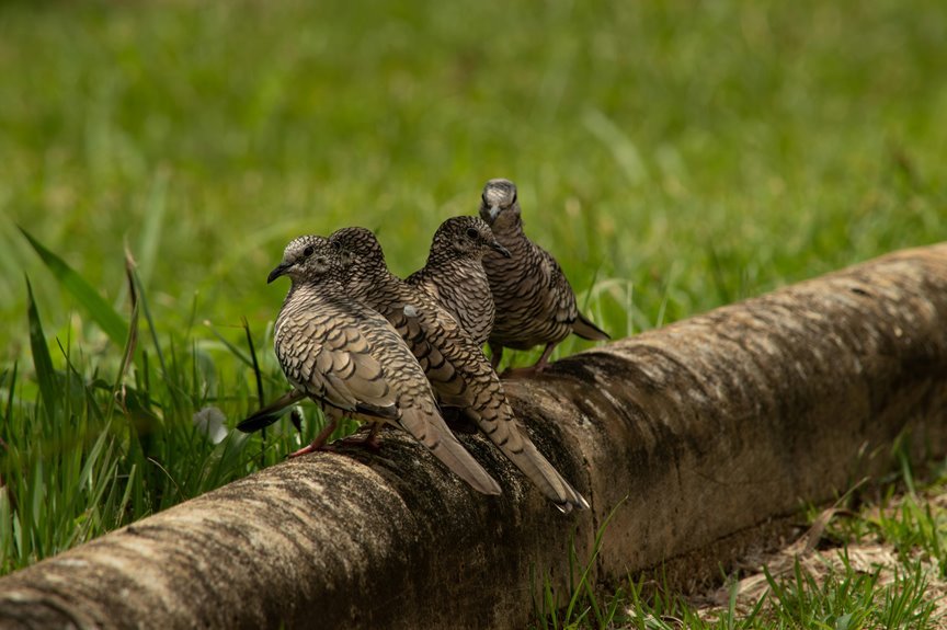 funny trio group names