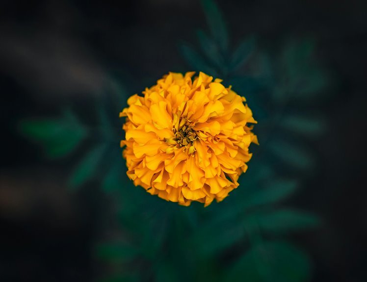 ideas for spam accounts