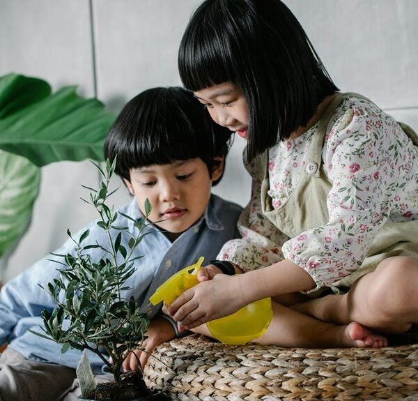 CrestParent IconCare 9154404953 Kidment Growthera